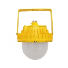倔强大师ZPB802F LED防爆平台灯 60W 尺寸：210*210*260mm